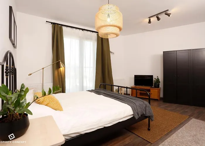 Stylish Concept Studio