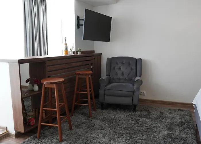 Luxury 1BR Studio Near Hanul Drumetului