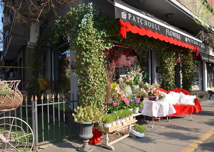 Studio D'Or Dorobanti