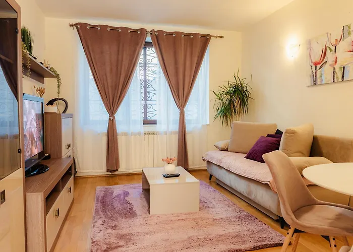 Free Parking Downtown Apartment Boutique Green Garden Unirii