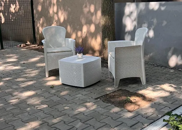 Cotroceni Studio