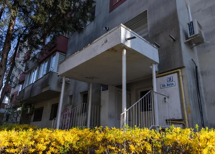 Imedio Olive Apartment Aviatiei