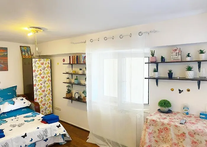 Andu Apartament