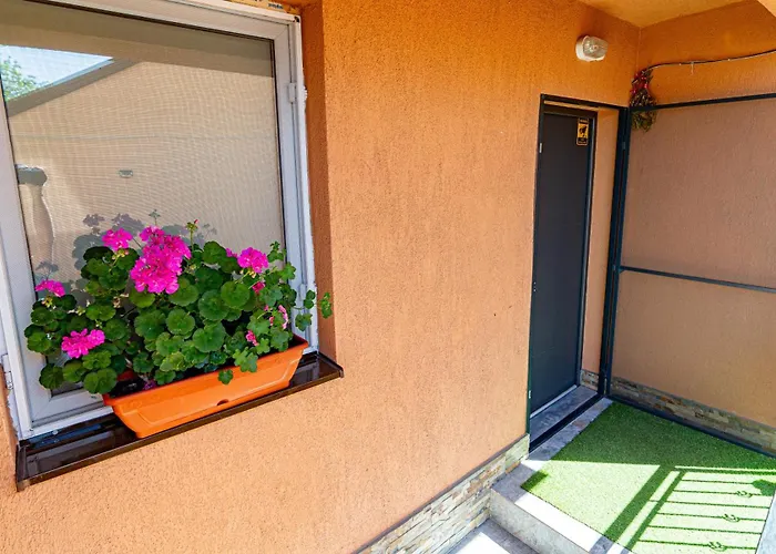 Casa Darya-24H Check-In