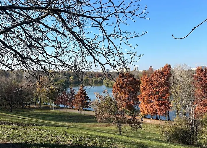 Park Lake View Tineretului