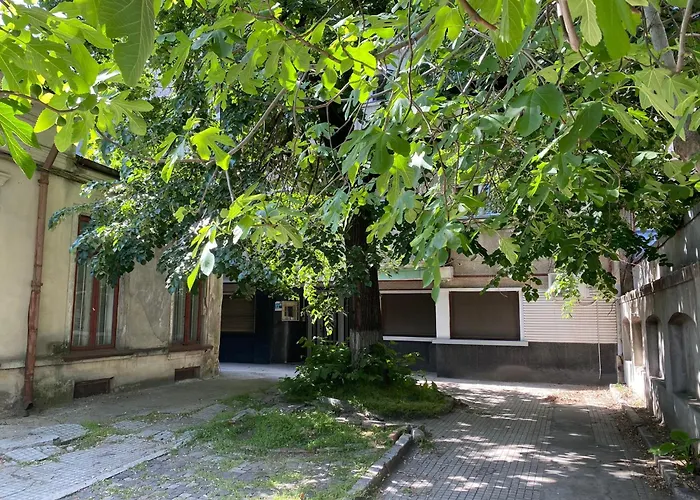 Linden Suite