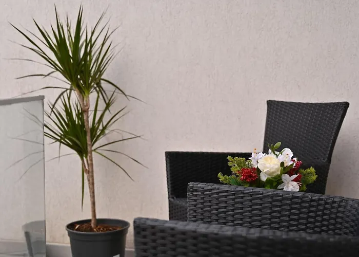 Apartments Nussbaumer Bucureşti, România