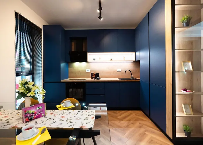Soni Exclusive Apartments 336 Plaza With Private Parking & Self Check-In