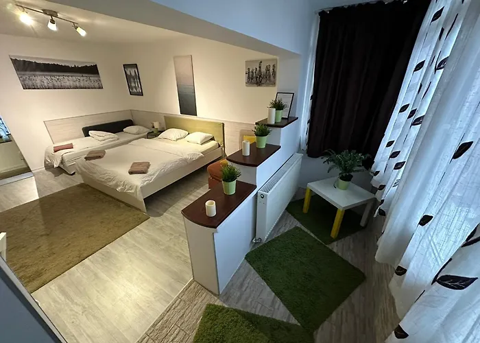 New Green Studio 1