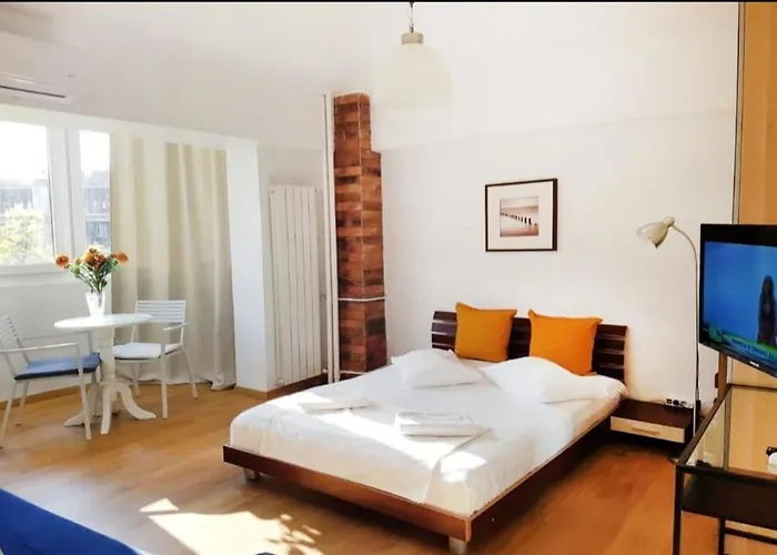 Studio Piata Victoriei Pat Dublu, Canapea Extensibila Bucureşti, România