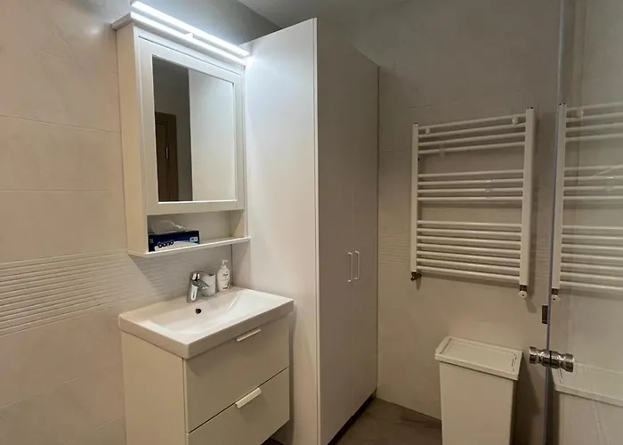 Ris studio dublu universitate, centrul vechi Bucureşti, România