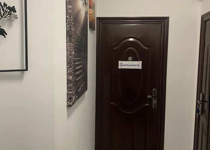 Sofi Studio Central