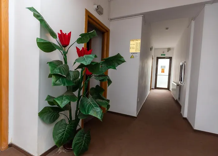 Hotel Sir Colentina