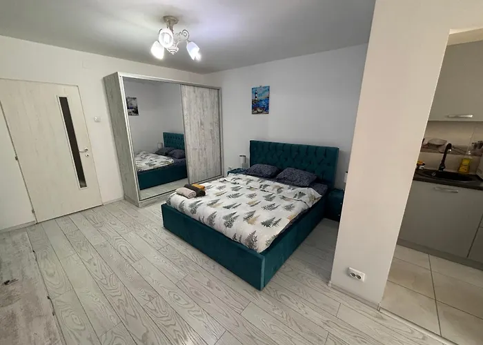 Studio-Ion Mihalache-Bucuresti, România