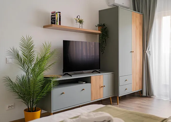 Gabiolys Apartment Tineretului