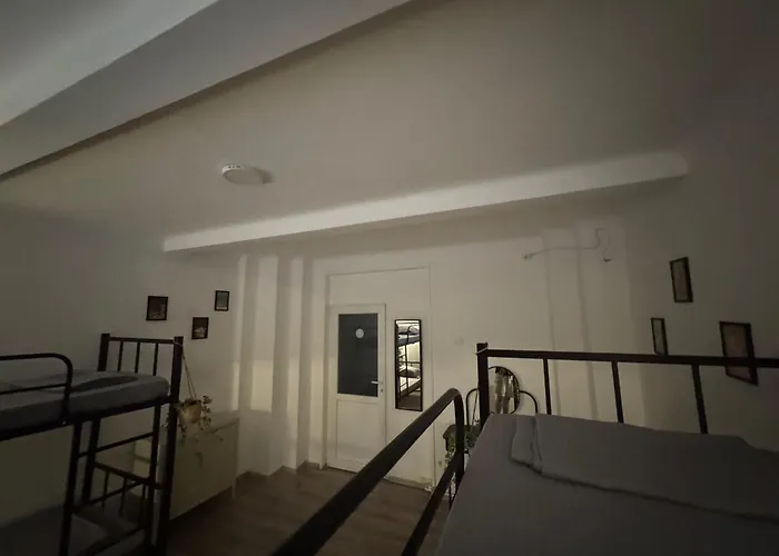 Carol 51 Hostel