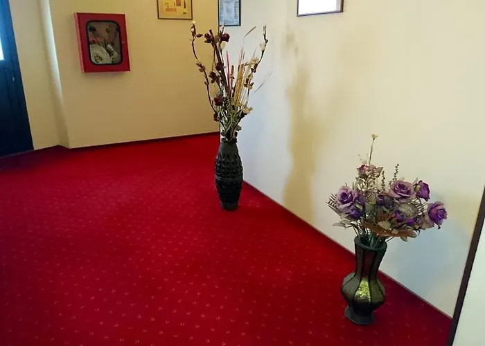 Hotel Pui de Urs