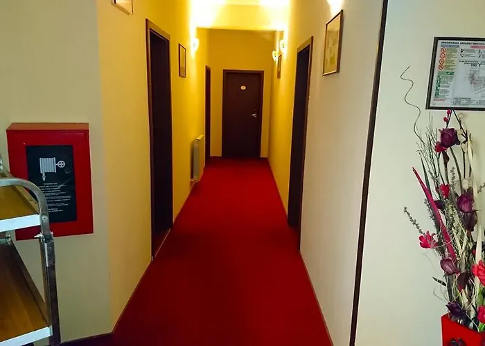 Hotel Pui de Urs