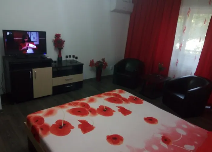 Studio Lujerului 2